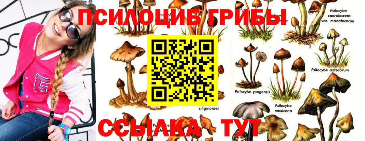 Галлюциногенные грибы MAGIC MUSHROOMS Москва